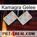 Kamagra Jelly 25